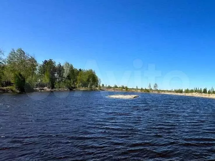 Участок 6 сот. (СНТ, ДНП) - Фото 1