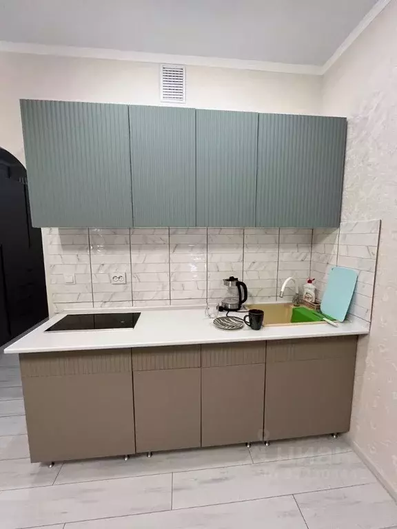 Студия Московская область, Подольск городской округ, д. Борисовка ул. ... - Фото 1