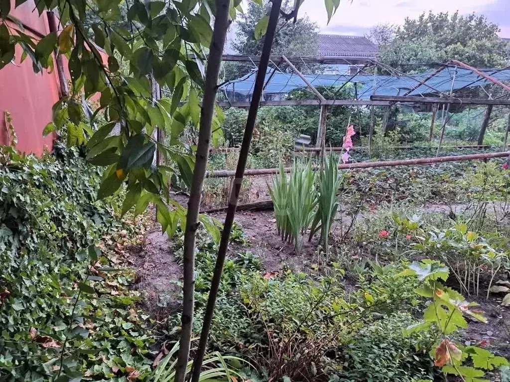 Участок в Адыгея, Майкоп ул. Ломоносова (6.5 сот.) - Фото 1