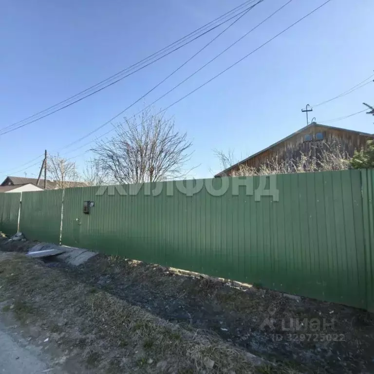 Дом в Новосибирская область, с. Новолуговое Железнодорожная ул. (65 м) - Фото 2
