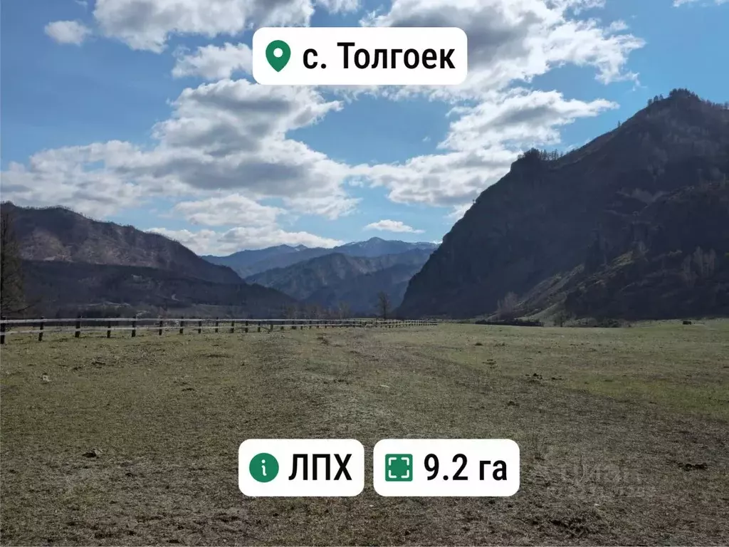Участок в Алтай, Чемальский район, с. Толгоек  (920.0 сот.) - Фото 1