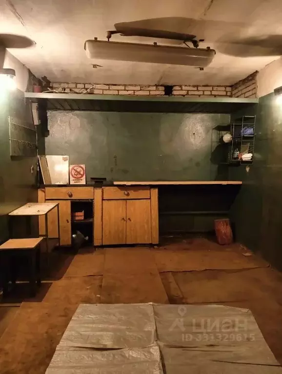 Гараж в Московская область, Лыткарино Колхозная ул., с1А (18 м) - Фото 1