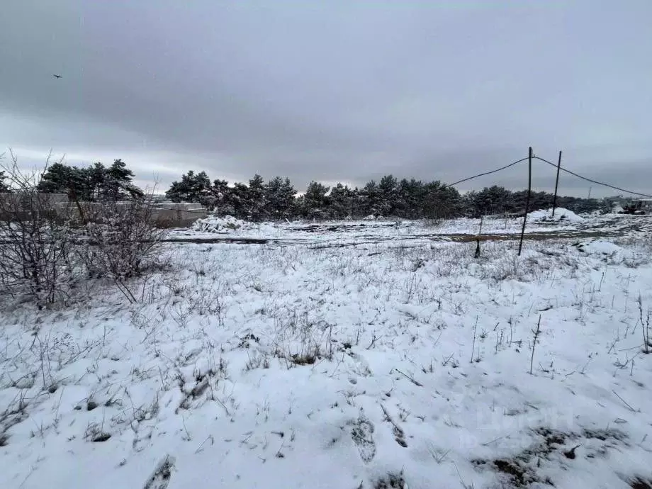 Участок в Крым, Симферопольский район, Трудовское с/пос, Хвойный кп ... - Фото 1