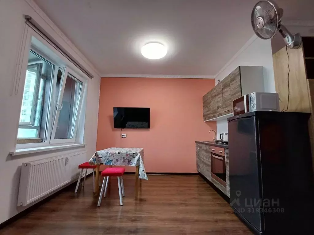 Студия Санкт-Петербург ул. Плесецкая, 20к1 (24.0 м) - Фото 0
