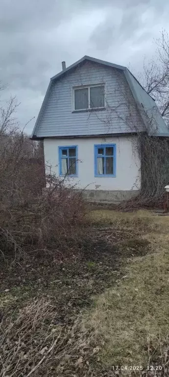 Дом в Новосибирская область, Новосибирский район, Толмачевский ... - Фото 0