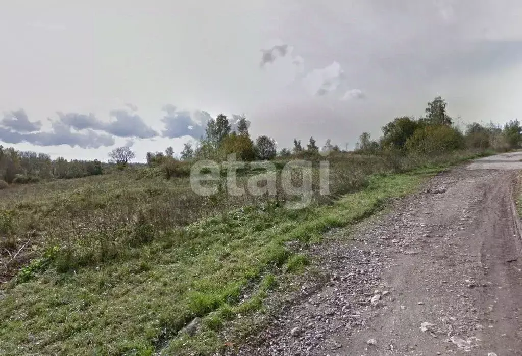 Участок в Тульская область, Тула муниципальное образование, д. ... - Фото 1