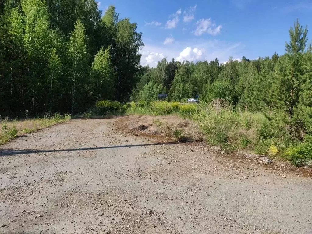 Участок в Свердловская область, Белоярский муниципальный округ Р-351, ... - Фото 2