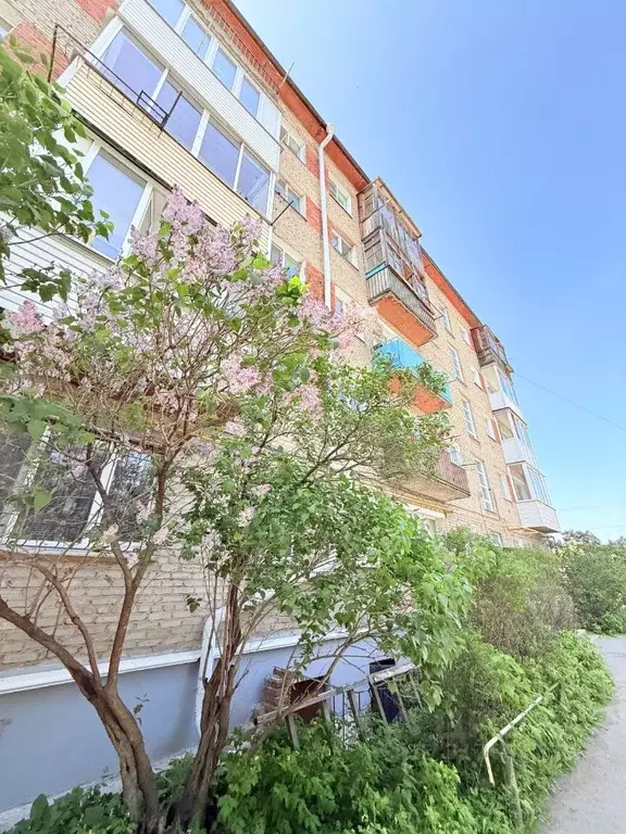3-к кв. Омская область, Омск ул. Красный Путь, 80А (42.0 м) - Фото 0