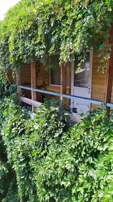 Комната Крым, Судак ул. Танкистов, 28 - Фото 2