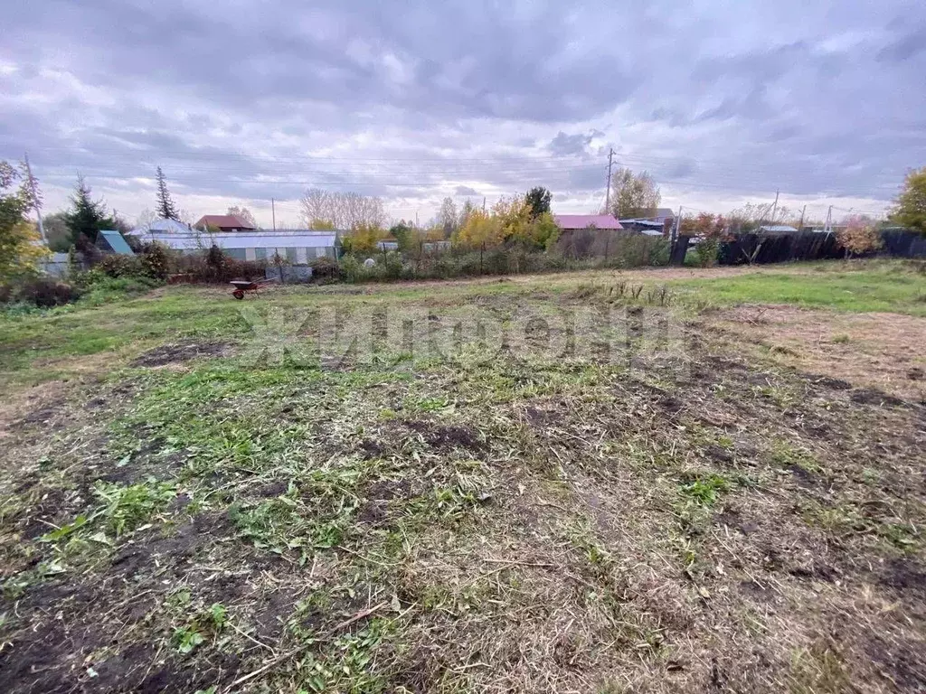 Дом в Новосибирская область, с. Новолуговое Песочная ул. (60 м) - Фото 0