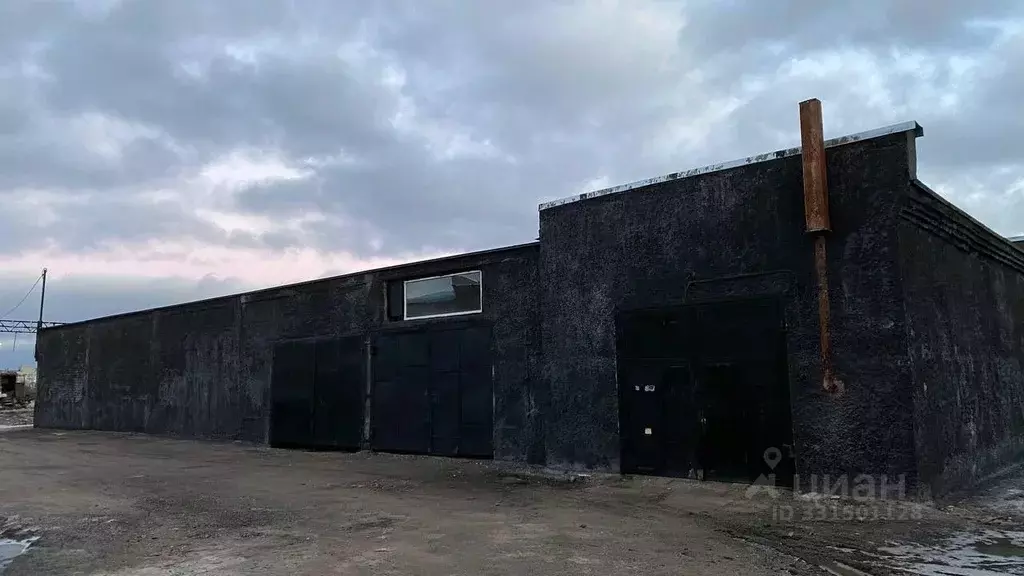 Производственное помещение в Новгородская область, Новгородский район, ... - Фото 1