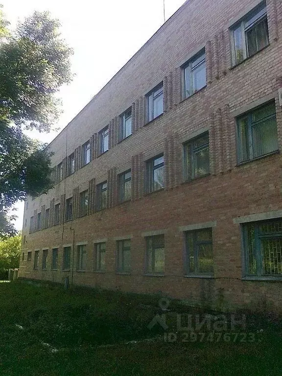 Помещение свободного назначения в Брянская область, Брасовский район, ... - Фото 1