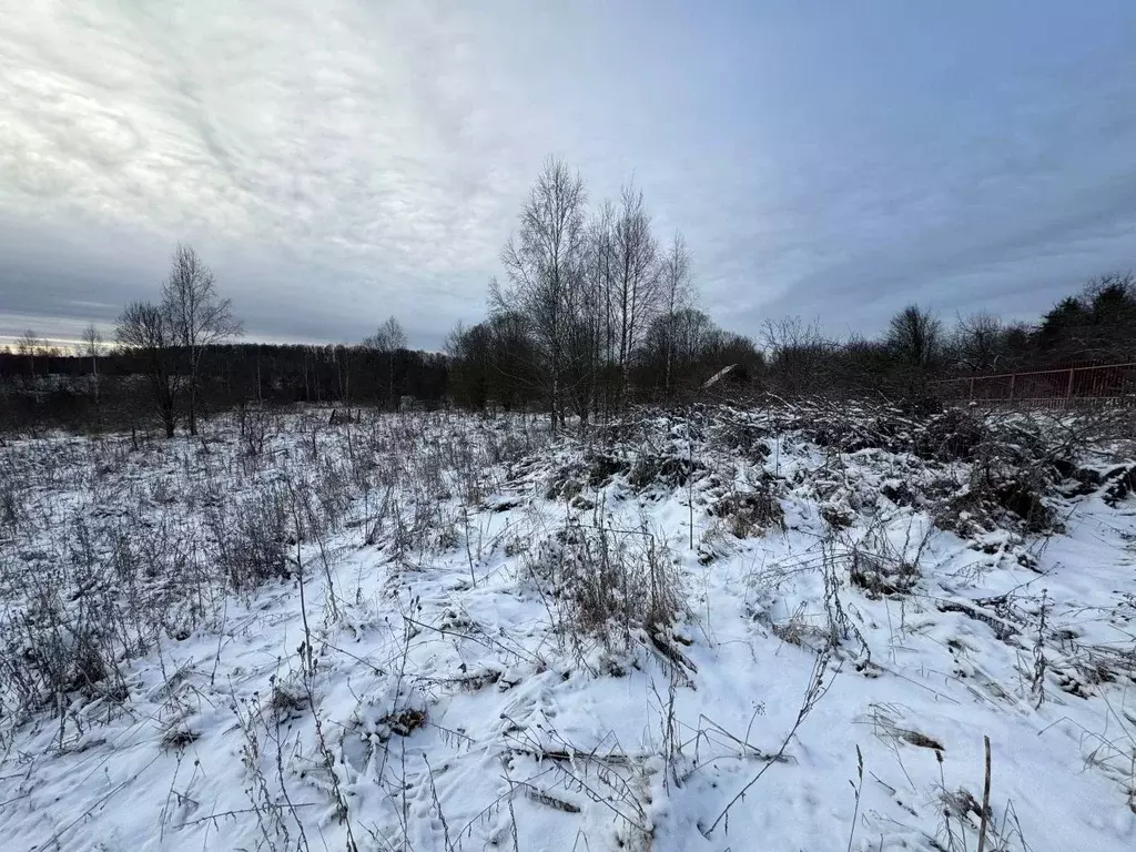 Участок в Московская область, Волоколамский муниципальный округ, д. ... - Фото 1