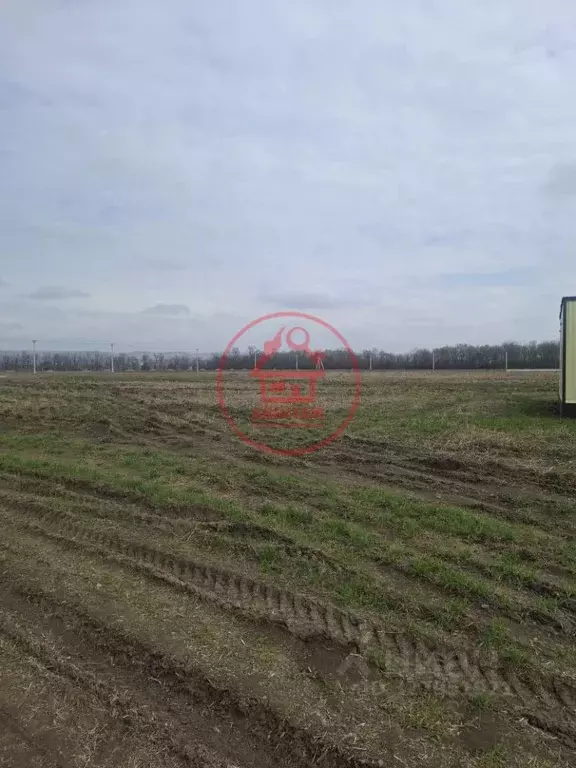 Участок в Краснодарский край, Успенский район, с. Вольное ул. ... - Фото 1