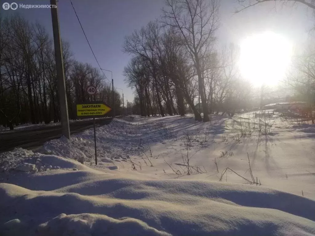 Участок в село Алтайское, Круглый переулок (15 м) - Фото 2