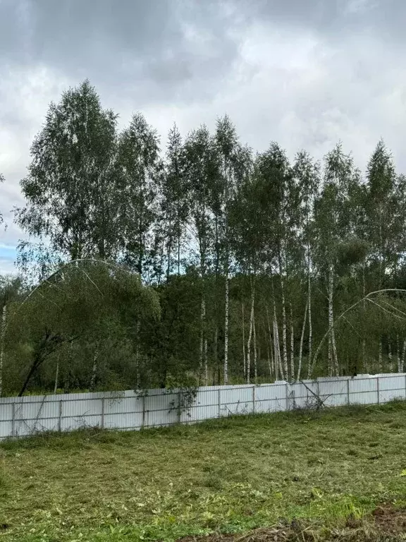 Участок в Московская область, Дмитровский муниципальный округ, д. ... - Фото 0