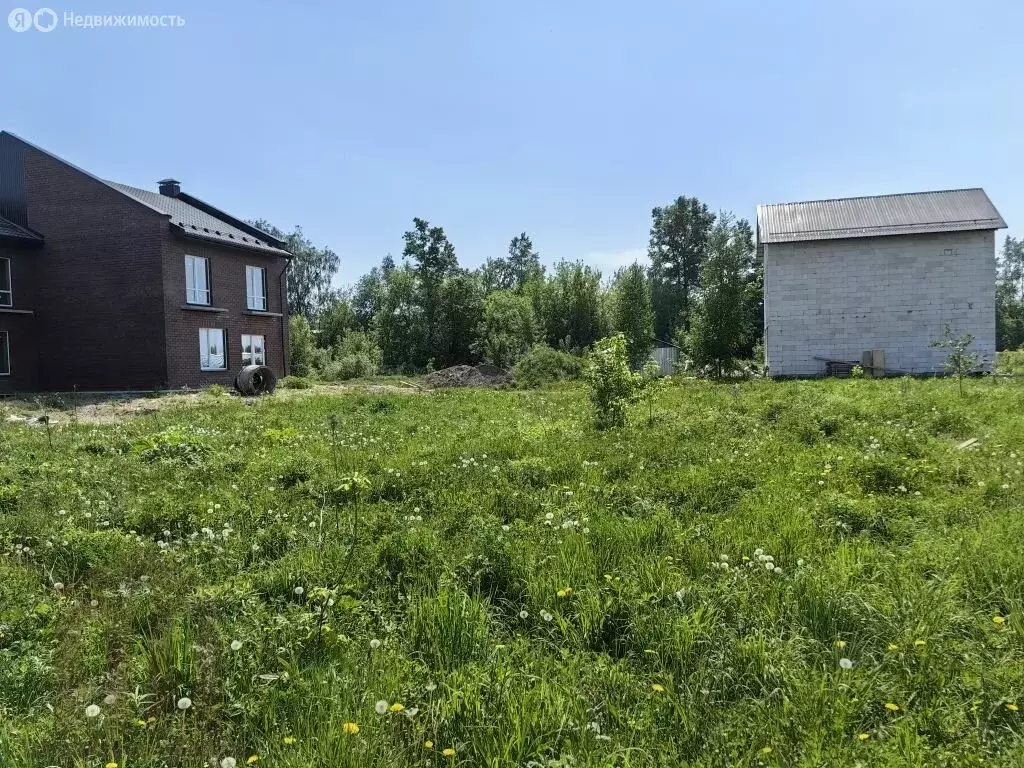 Участок в Тверская область, Калининский муниципальный округ, деревня ... - Фото 2