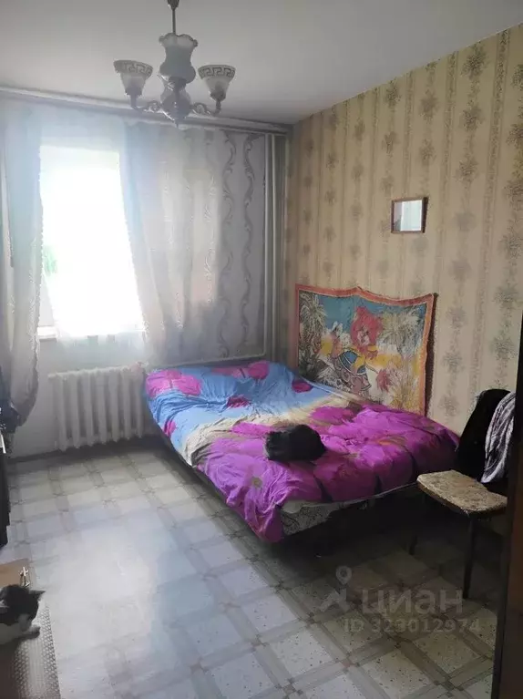 2-к кв. Новгородская область, Новгородский район, д. Савино ... - Фото 1