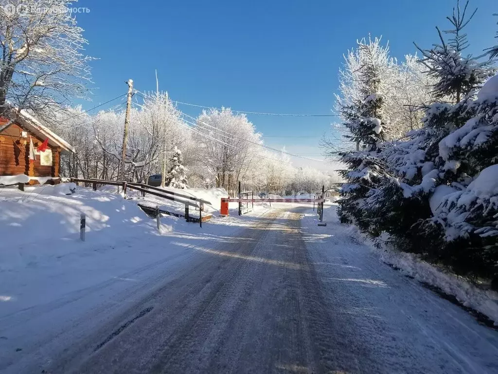 Участок в Токсовское городское поселение, СНТ Озёрное, 2-я линия (9 м) - Фото 2