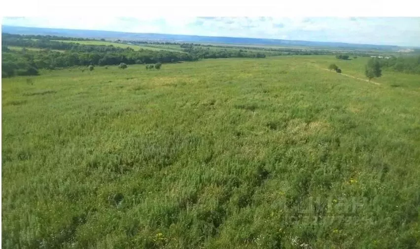 Участок в Приморский край, Надеждинское с/пос  (17.0 сот.) - Фото 2