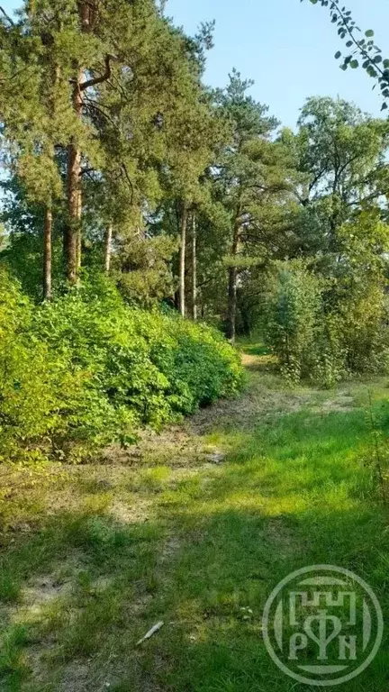 Участок в Санкт-Петербург, Санкт-Петербург, Сестрорецк просп. ... - Фото 2