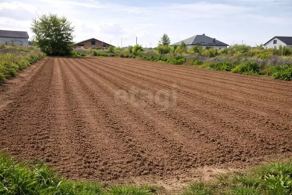 Участок в Калининградская область, Пионерский (7 м) - Фото 2