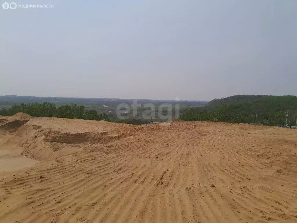 Участок в Амурская область, Серышевский муниципальный округ, село ... - Фото 1