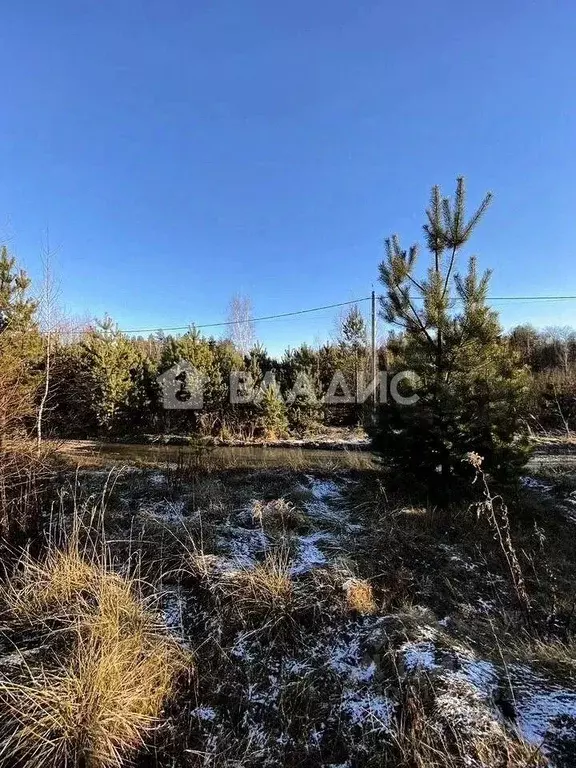 Участок в Владимирская область, Владимир д. Уварово, ул. Юринская ... - Фото 0