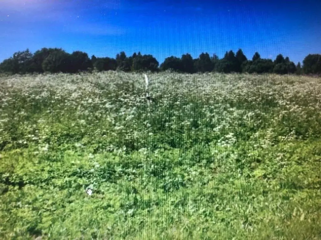 Участок в Смоленская область, Смоленский муниципальный округ, д. ... - Фото 2