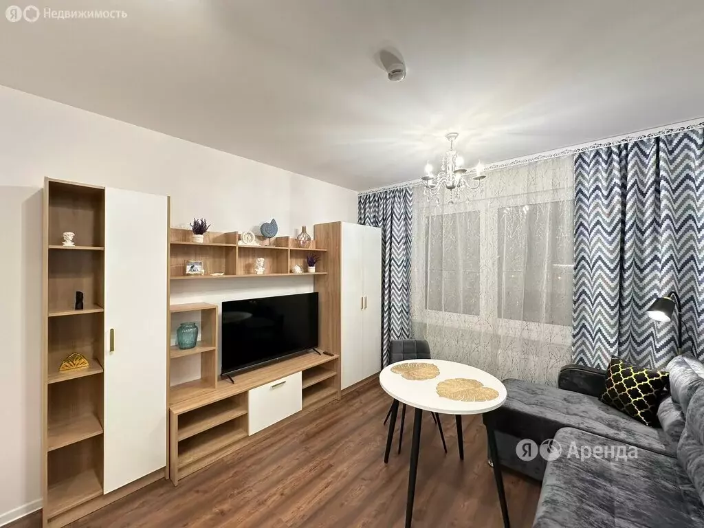 Квартира-студия: Санкт-Петербург, Муринская дорога, 31к2 (20 м) - Фото 1