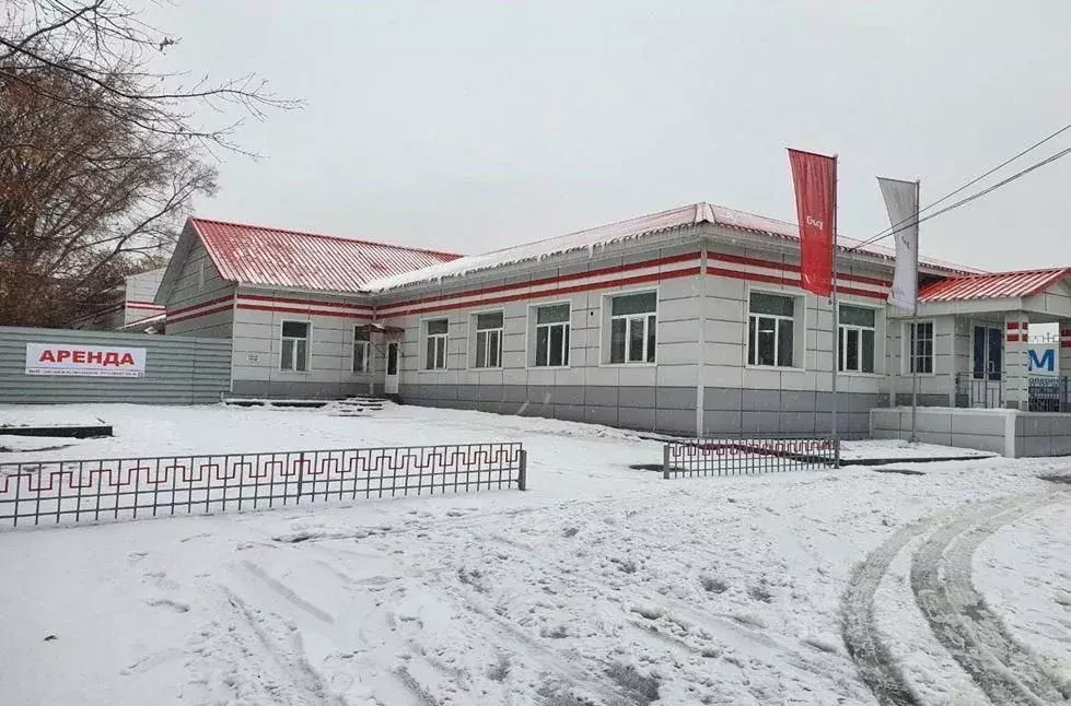 Офис в Новосибирская область, Новосибирск Большевистская ул., 119 (12 ... - Фото 1