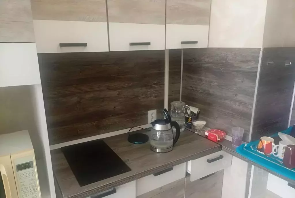 1-к кв. Псковская область, Псковский район, Завеличенская волость, д. ... - Фото 1