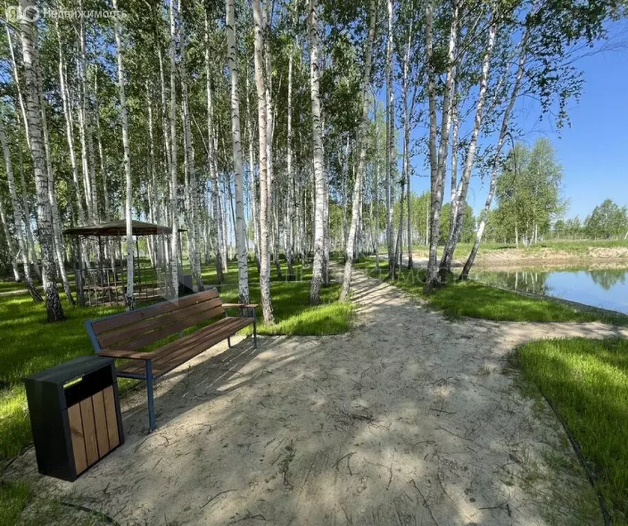 Участок в Тюменская область, Нижнетавдинский муниципальный округ (4.6 ... - Фото 1