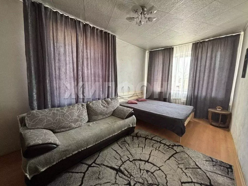 1-к кв. Новосибирская область, Новосибирск ул. Блюхера, 20 (31.8 м) - Фото 0