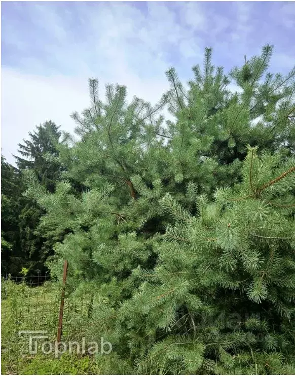 Дом в Калининградская область, Багратионовский муниципальный округ, ... - Фото 2
