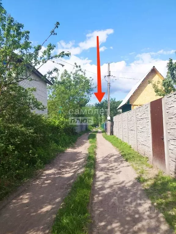 Дом в Брянская область, Брянский район, Снежское с/пос, с. Толмачево, ... - Фото 0