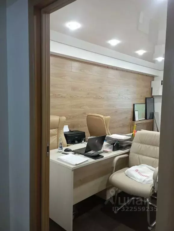 Офис в Татарстан, Казань ул. Рашида Вагапова, 4 (43 м) - Фото 1