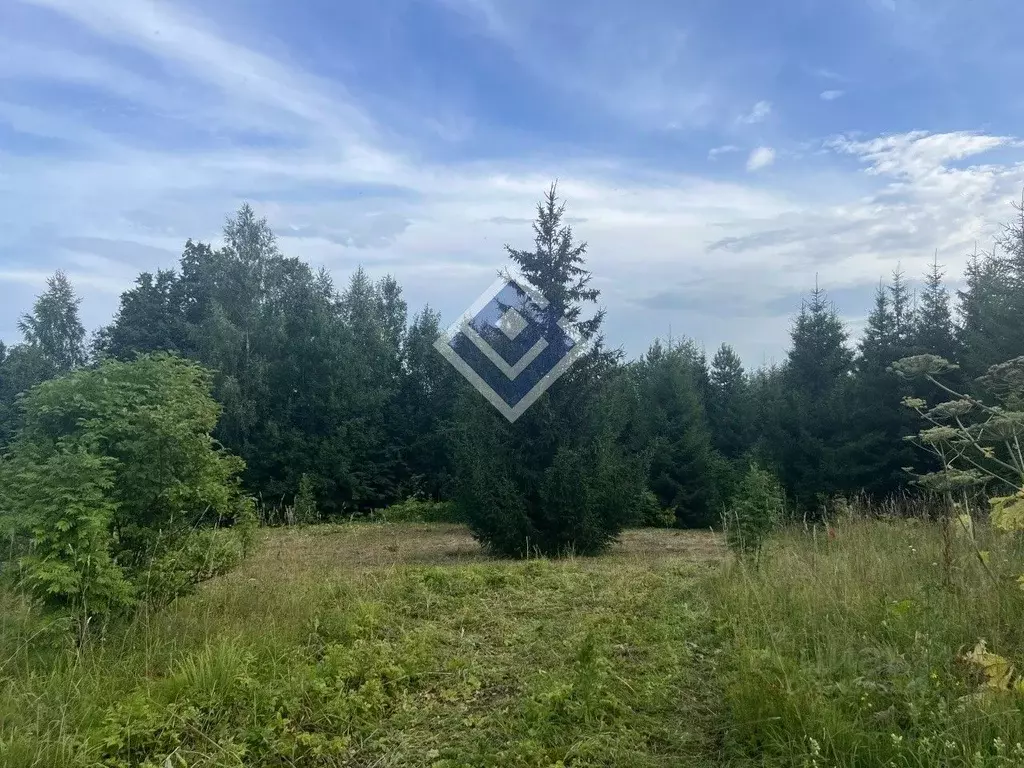 Участок в Пермский край, Юсьвинский муниципальный округ, пос. Горки  ... - Фото 1