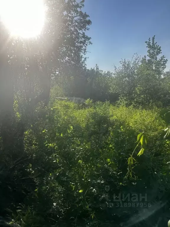 Участок в Саратовская область, Саратов пос. Подполивановка,  (10.0 ... - Фото 1