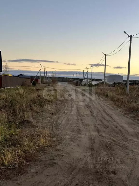 Участок в Тюменская область, Тюменский район, Серебряный бор ТСН  ... - Фото 0