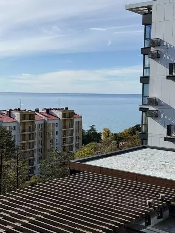 Студия Краснодарский край, Сочи Курортный просп., 96Гк2 (18.9 м) - Фото 2