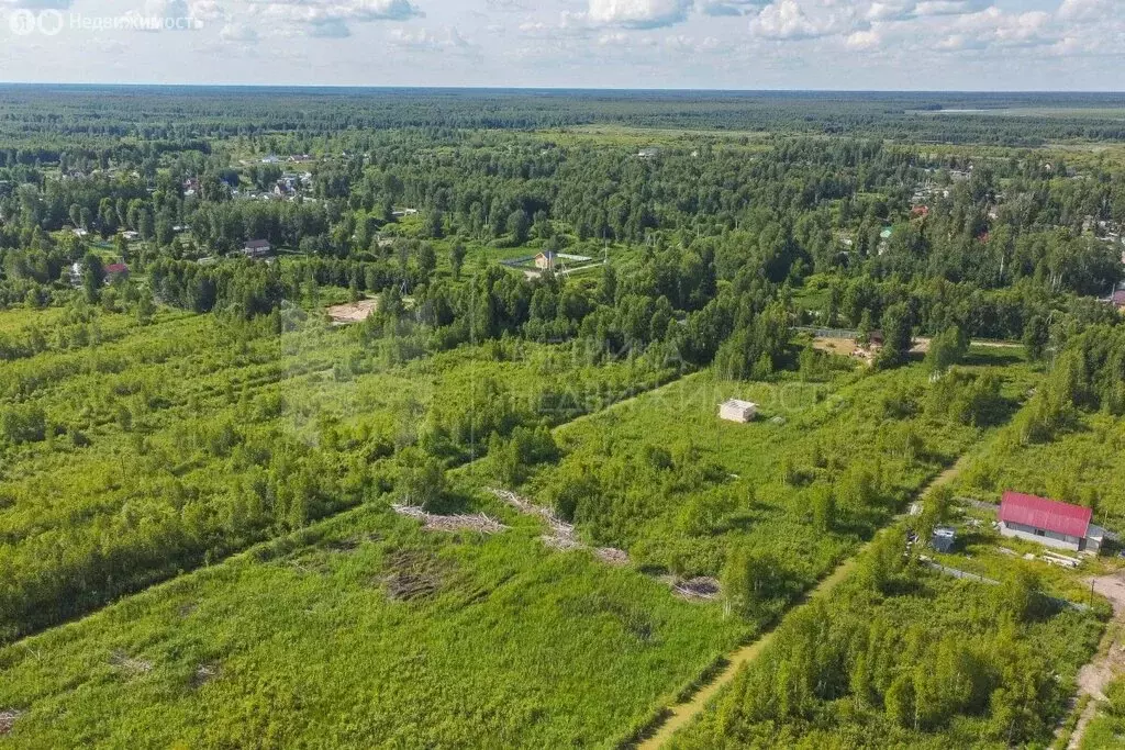 Участок в Тюменская область, Нижнетавдинский муниципальный округ, СНТ ... - Фото 1