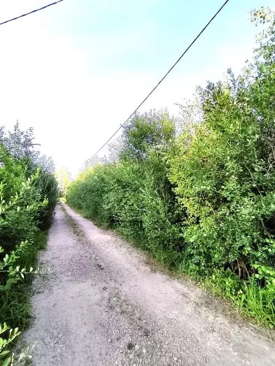 Участок в Ленинградская область, Кировский район, Мгинское городское ... - Фото 0