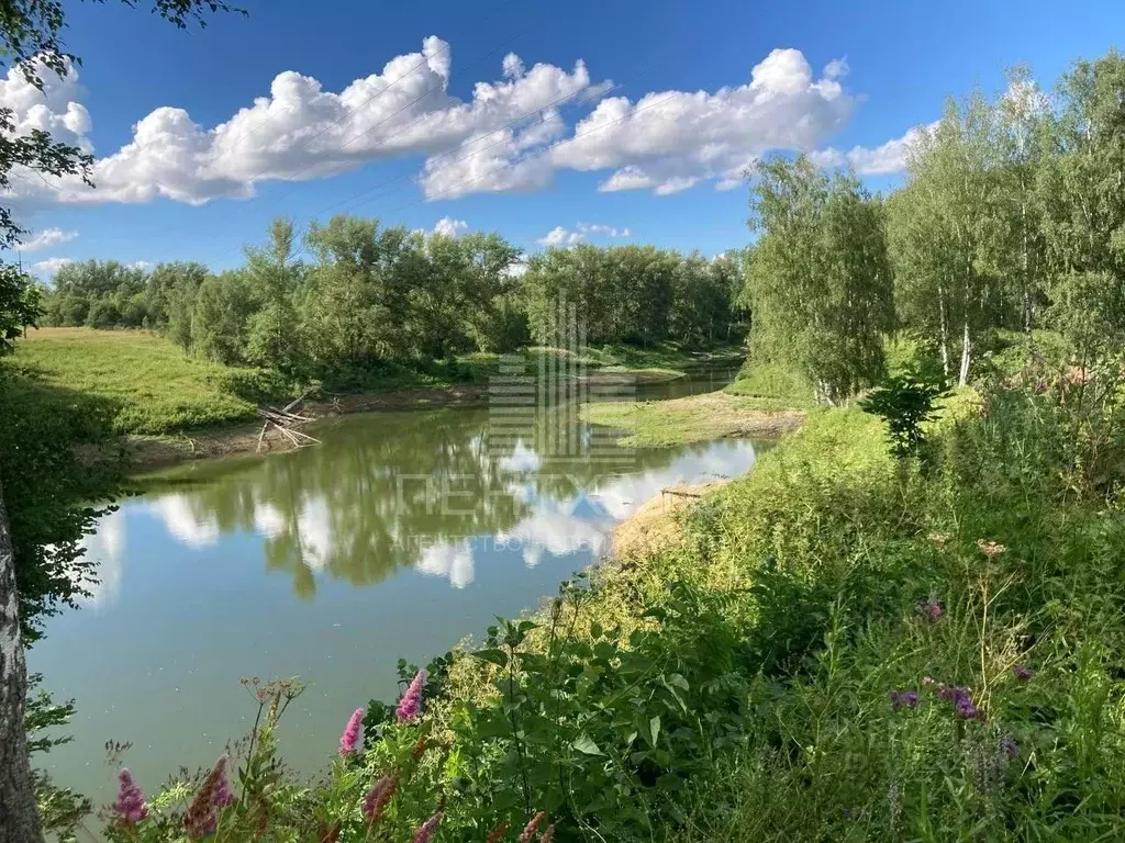 Участок в Владимирская область, Суздальский район, Новоалександровское ... - Фото 1