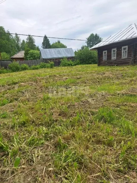 Участок в Вологодская область, Усть-Кубинский муниципальный округ, ... - Фото 2