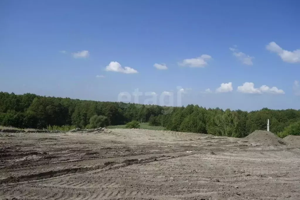 Участок в Воронежская область, Новоусманский район, с. Бабяково ... - Фото 1