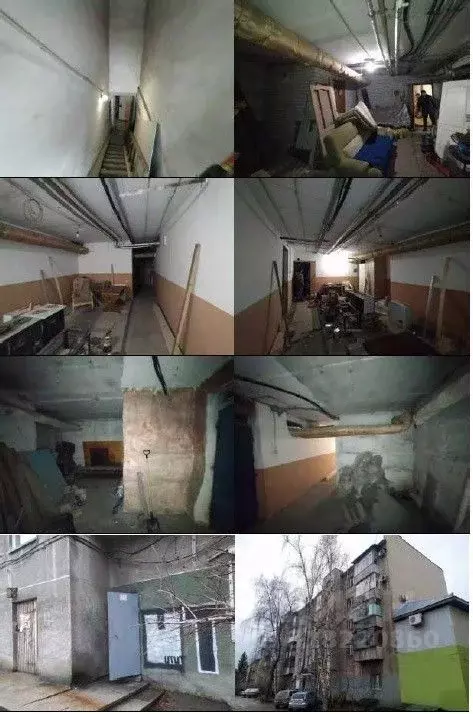 Помещение свободного назначения в Алтайский край, Барнаул ... - Фото 0