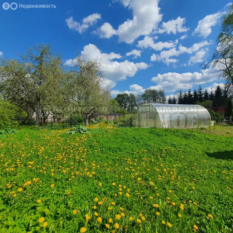 Участок в Смоленск, посёлок Серебрянка (14 м) - Фото 0
