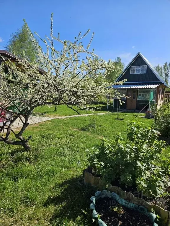 Дом в Алтайский край, Бийский район, Катунские зори СНТ ул. 1-я ... - Фото 0