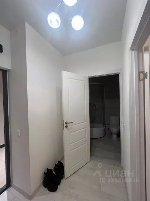 Студия Санкт-Петербург ш. Суздальское, 18к3 (21.3 м) - Фото 2